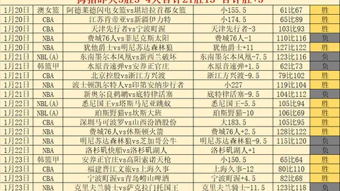 中国男子冰球职业联赛：迈向巅峰的破冰征程